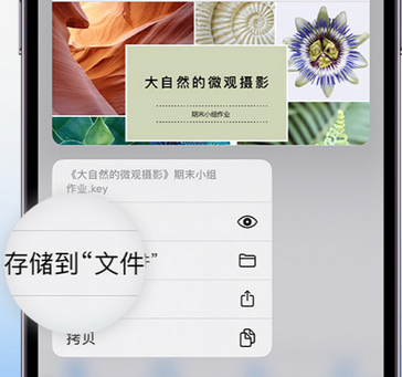 班戈apple维修中心分享iPhone文件应用中存储和找到下载文件