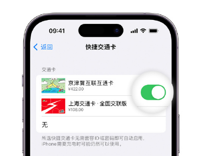 班戈apple维修点分享iPhone上更换Apple Pay快捷交通卡手绘卡面 