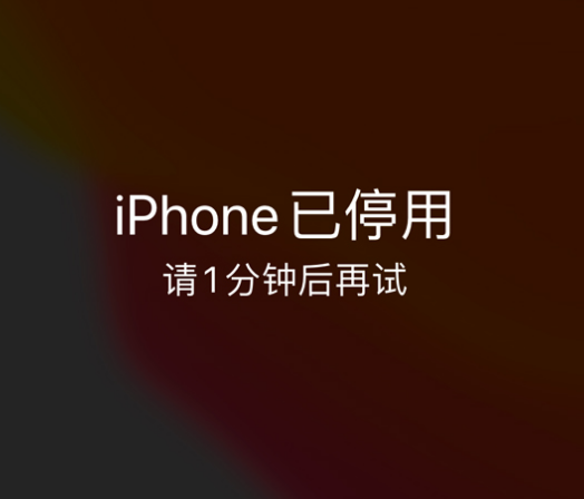 班戈苹果手机维修分享:iPhone 显示“不可用”或“已停用”怎么办？还能保留数据吗？ 