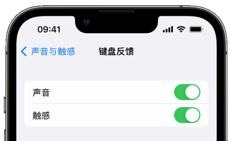 班戈苹果手机维修分享iPhone 14触感键盘使用方法 