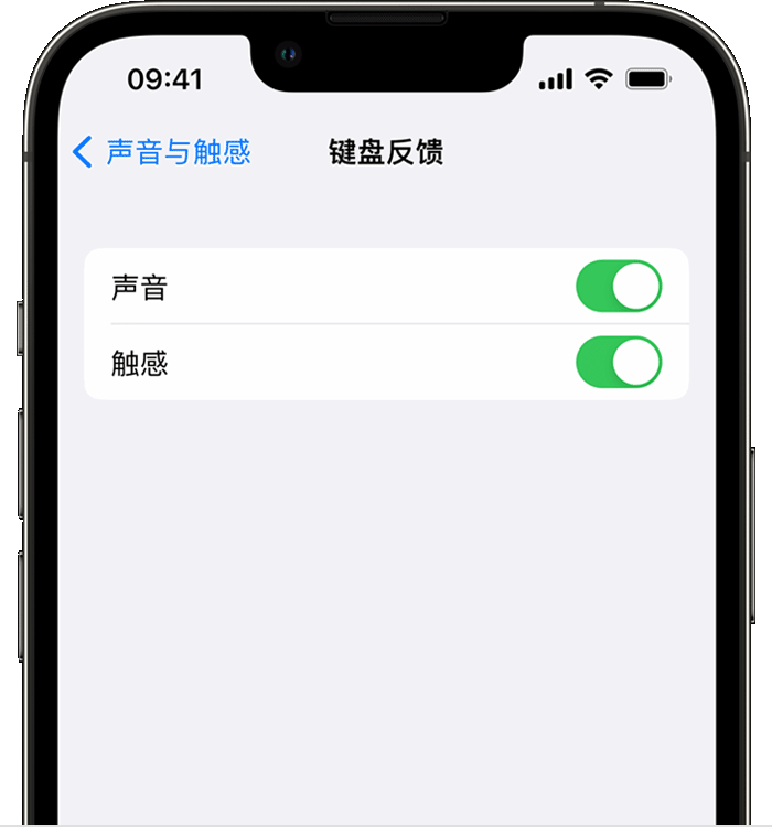 班戈苹果14维修店分享如何在 iPhone 14 机型中使用触感键盘 