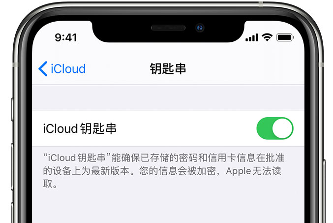 班戈苹果手机维修分享在 iPhone 上开启 iCloud 钥匙串之后会储存哪些信息 