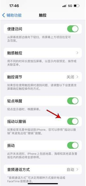 班戈苹果手机维修分享iPhone手机如何设置摇一摇删除文字 